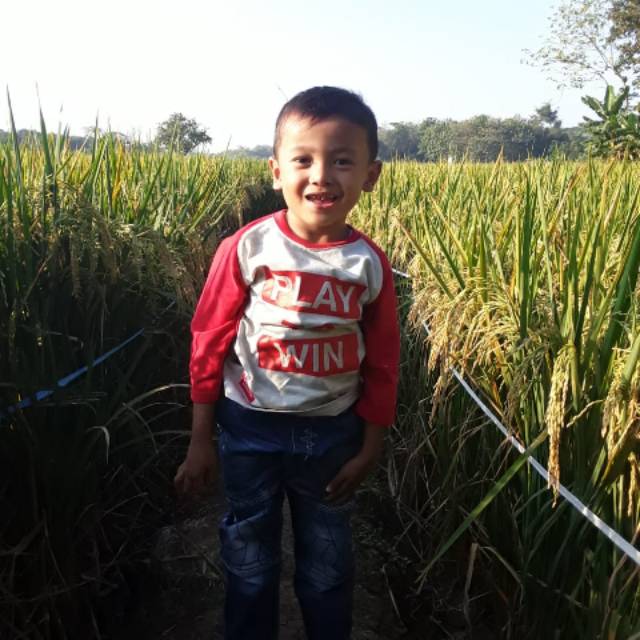 0q9bvtblsmyrpwyz7_4nm_1x1__t