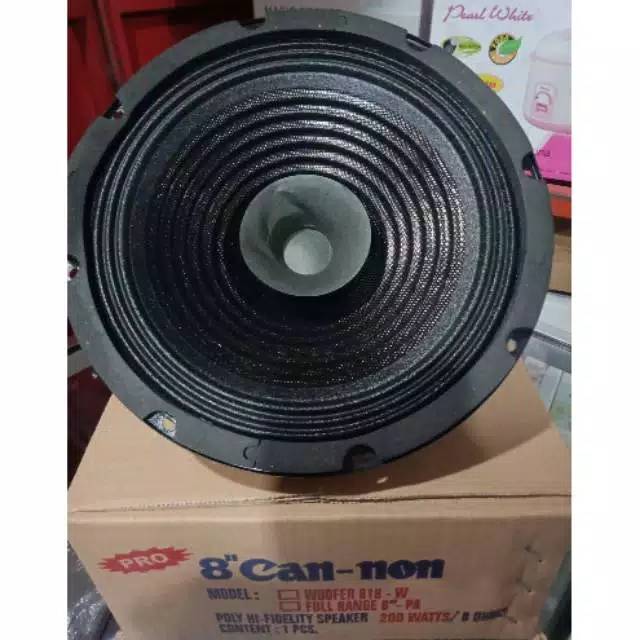 speaker spiker cannon pro 8 inch fullrange 200 W 8 OHM