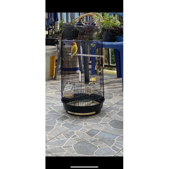 PRELOVED/KANDANG BURUNG LOVEBIRD BEKAS