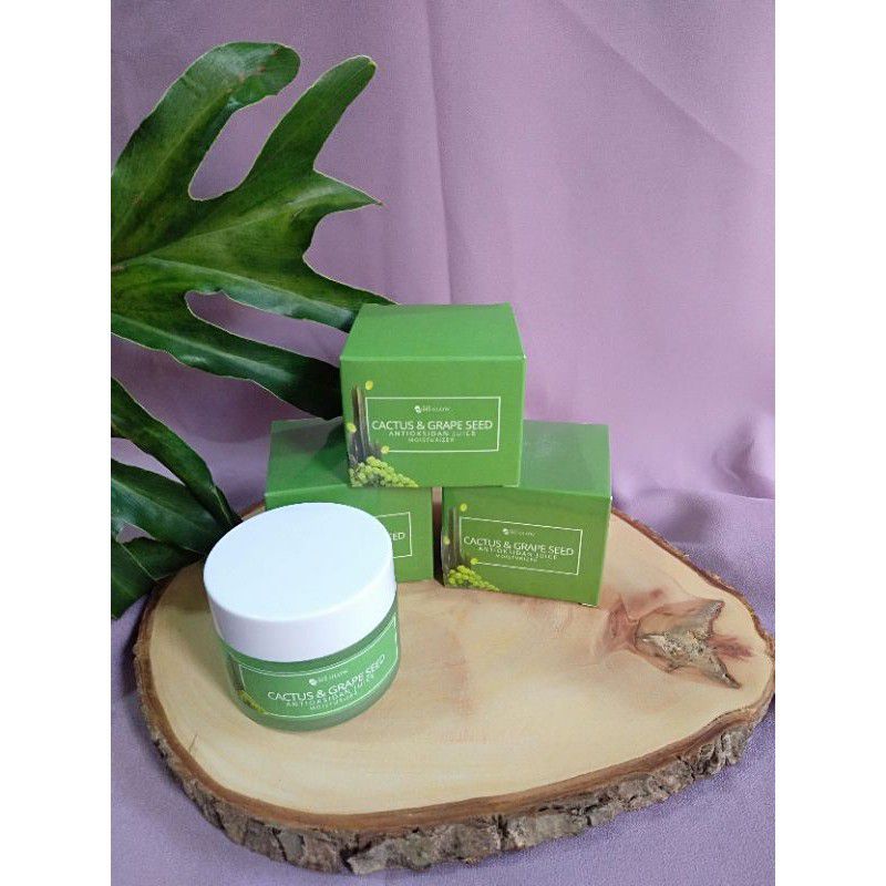 MOISTURIZER CACTUS MS GLOW