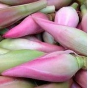 

Kecombrang/kencong /bunga Rias 500gr