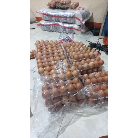 

telor ayam negri coklat.. isi 10 butir