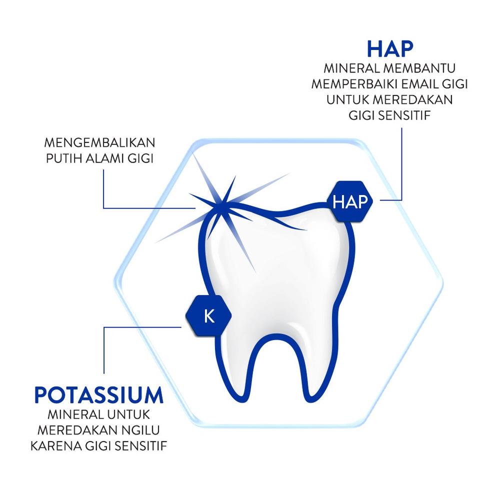 Pepsodent Sensitive Mineral Expert Pasta Gigi Whitening Pasta Gigi Sensitive 100G