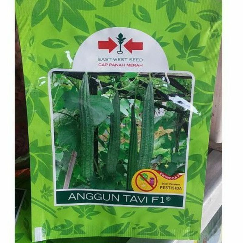 Benih Gambas / Oyong  Anggun Tavi F1
