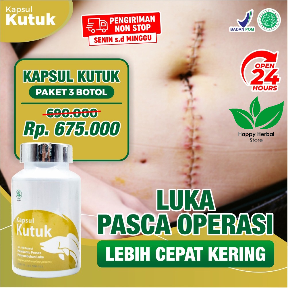 Obat Luka Langsung Kering || Paket 3 Botol Kapsul Kutuk Premium 5x Cepat Sembuh - Albumin Ikan Gabus