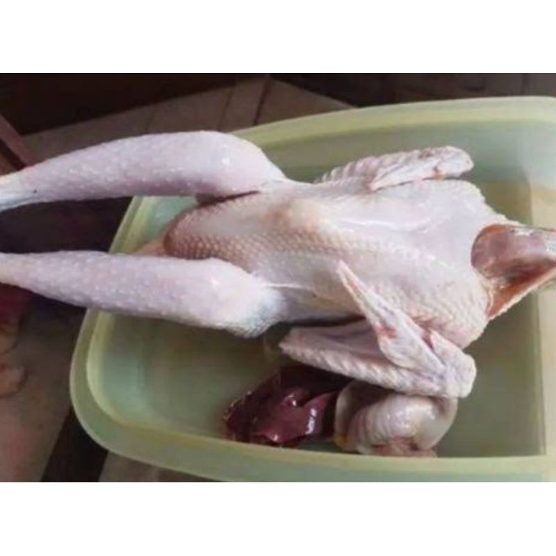

Ayam Kampung Utuh per ekor