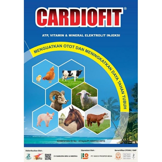 Penguat Otot dan ATP | Cardiofit Booster Injection