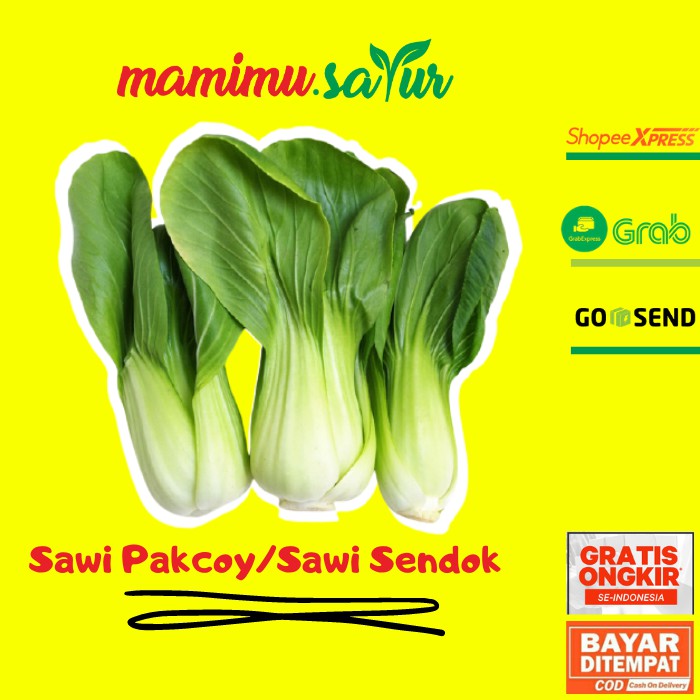 

SAWI PAKCOY SAWI SENDOK SAWI PAKCHOY SAWI PAKCHOI 250 GR