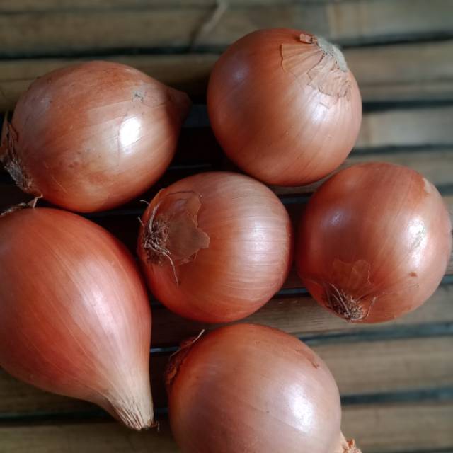 

Bawang Bombay per buah dan 250gr