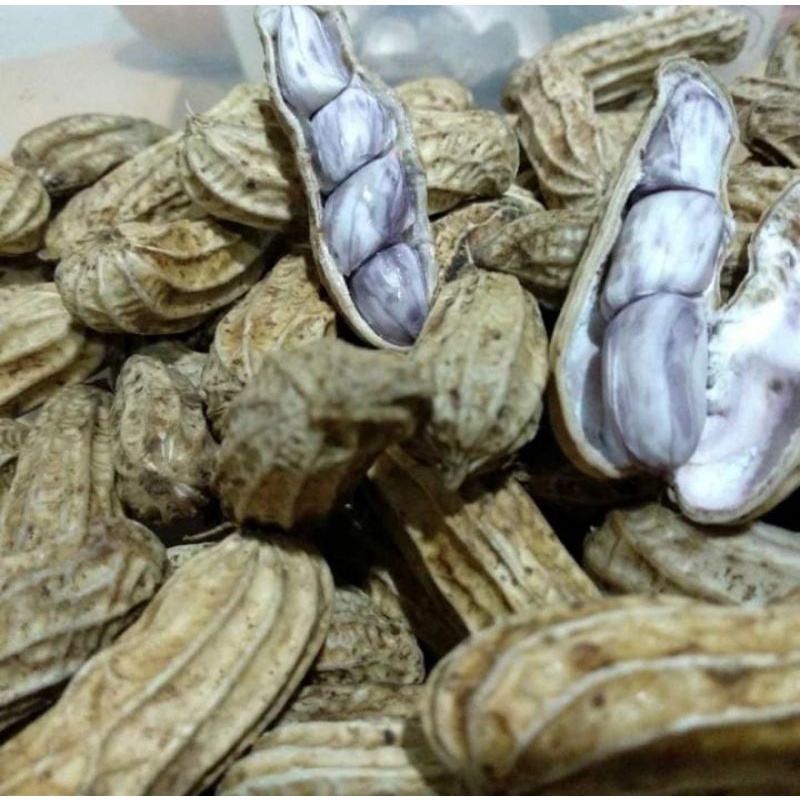 

Kacang Tanah Kulit Organik 1kg