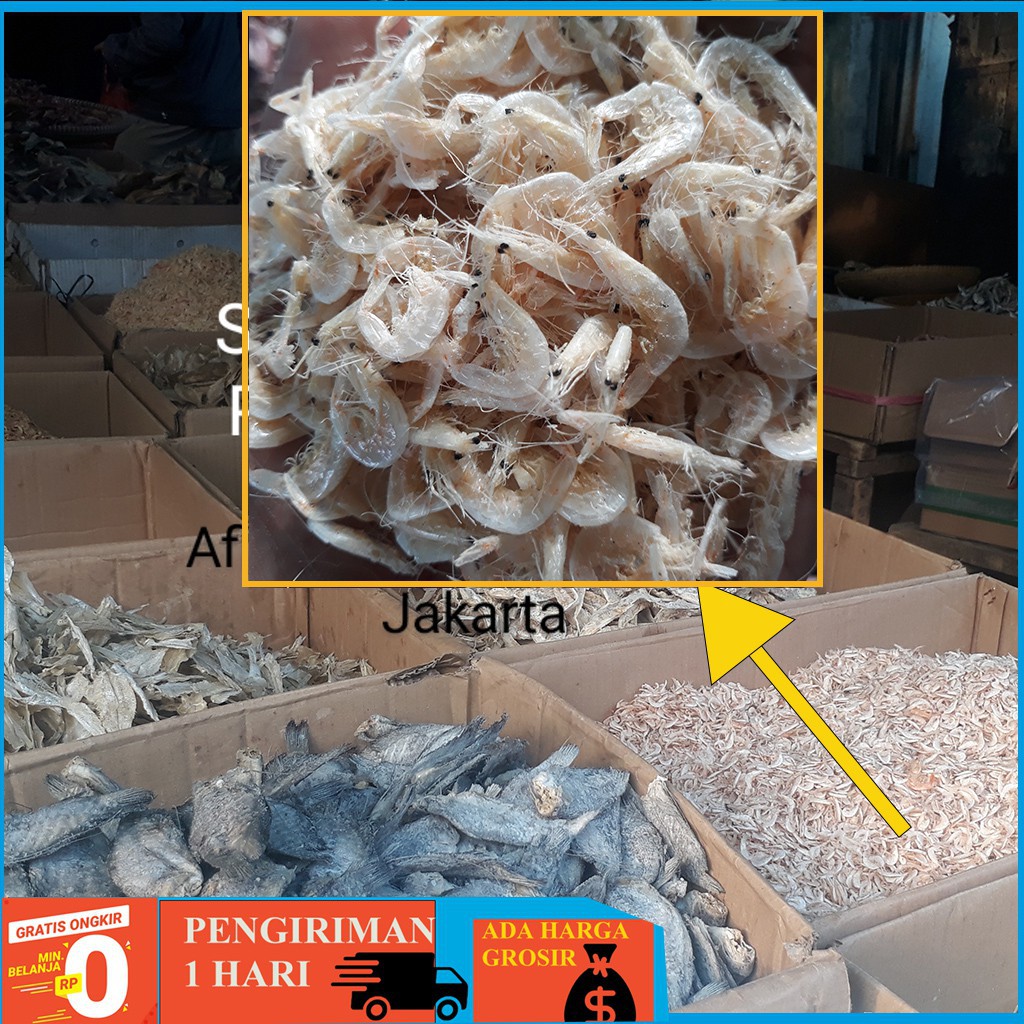 

PROMO Udang Rebon Tawar 500Gram / Tidak Terlalu Asin / Rebon Kasar 100% Fresh