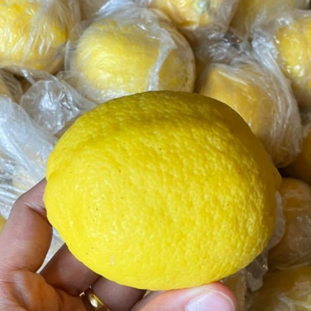 

Lemon China Buah Import Buah Segar Pilihan