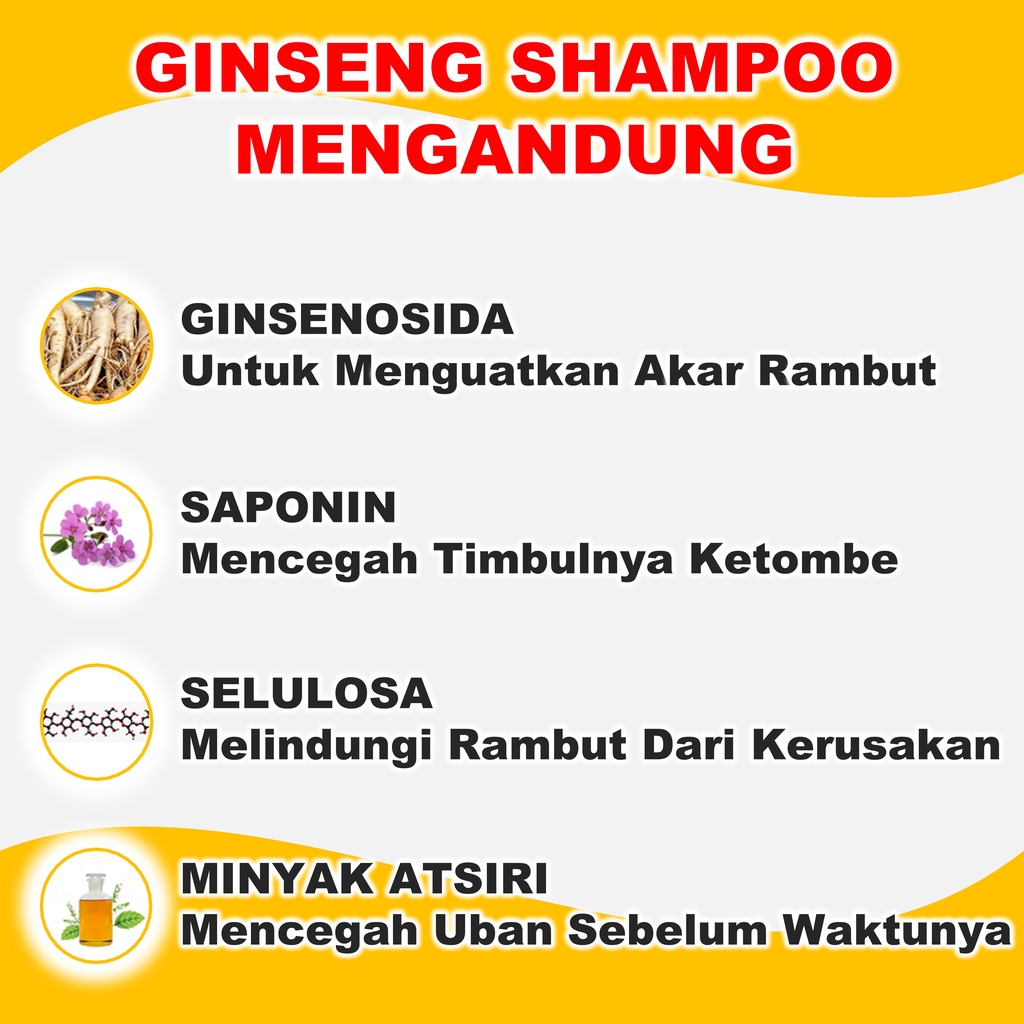 Shampo Rontok Parah Dan Ketombe Penumbuh Rambut Ginseng Paling Ampuh BPOM 250 ml B1P