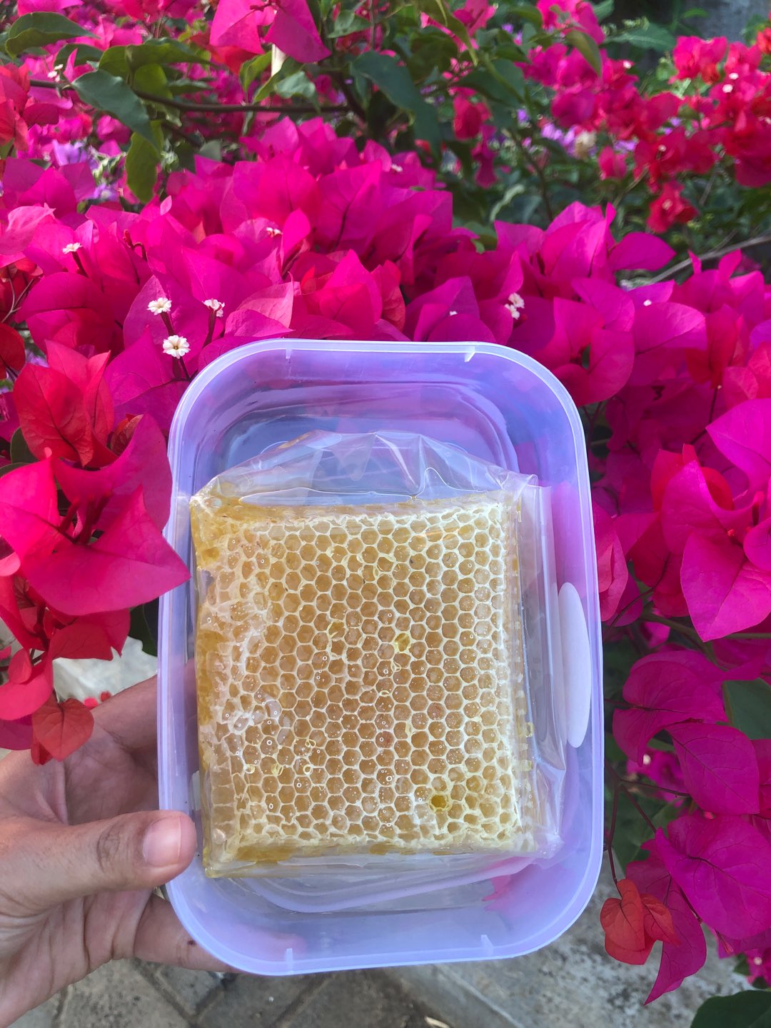 Polybag Media Tanam Cocok Untuk Rumahan