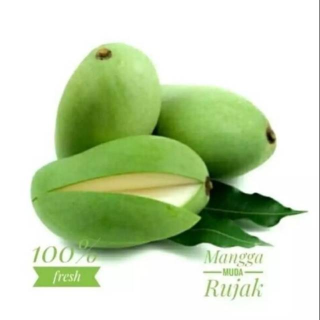 Mangga muda