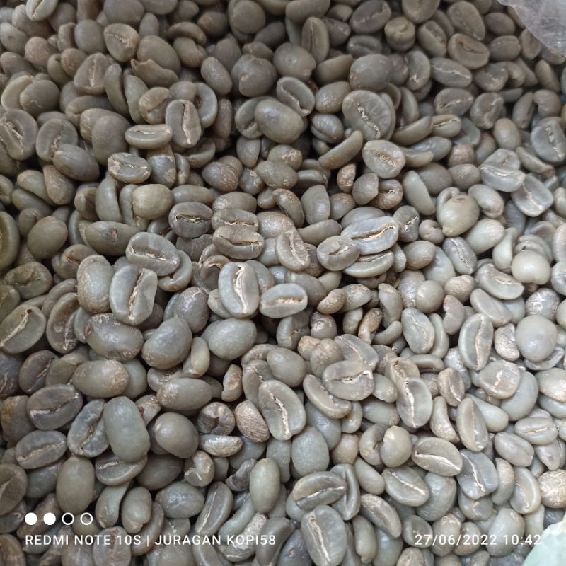 

greenbean arabika semeru