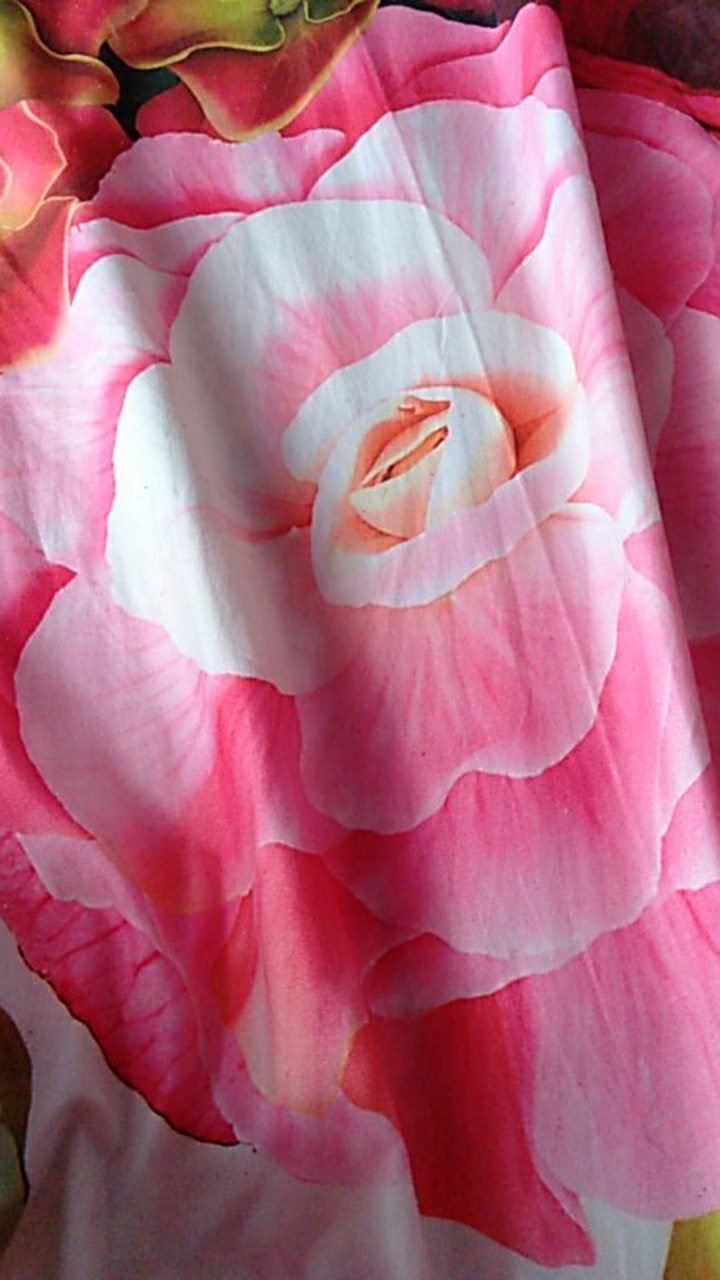 [1300gr] S024 | Kue Kering Bellarosa Paket Haicoklat  /kue Lebaran / Bellarosa Haicoklat