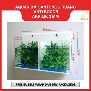 6100 Aquarium Cupang Dinding Gratis Terbaik