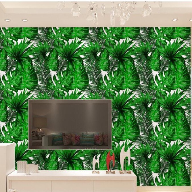 Wallpaper Dinding Daun Keladi / Janda Bolong 10m/ 8.4m x 45cm