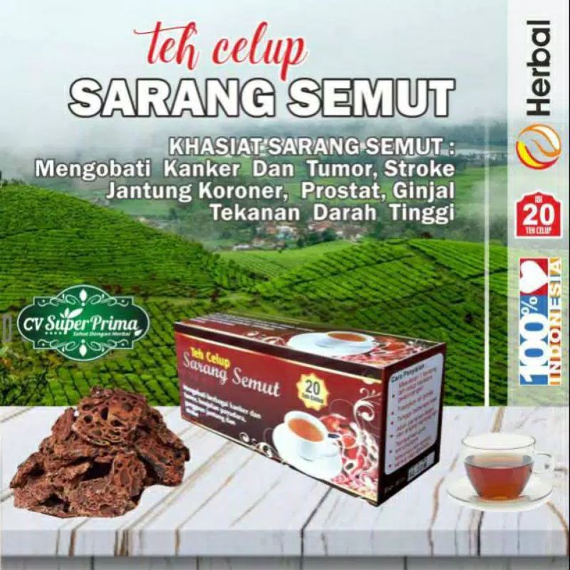 

TEH CELUP SARANG SEMUT ASLI PAPUA
