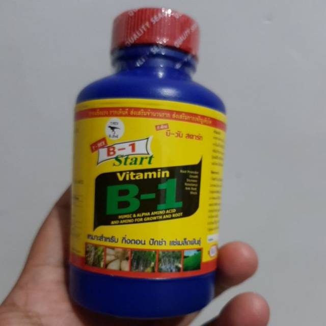 Vitamin B1 thailand