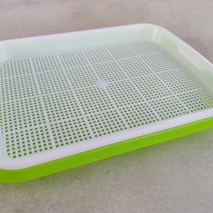 *:*:*:*:*] Tray Microgreen 6 Set