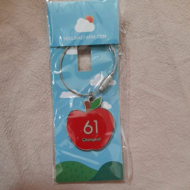 Exo Chanyeol Keyring- yeolmaefarm