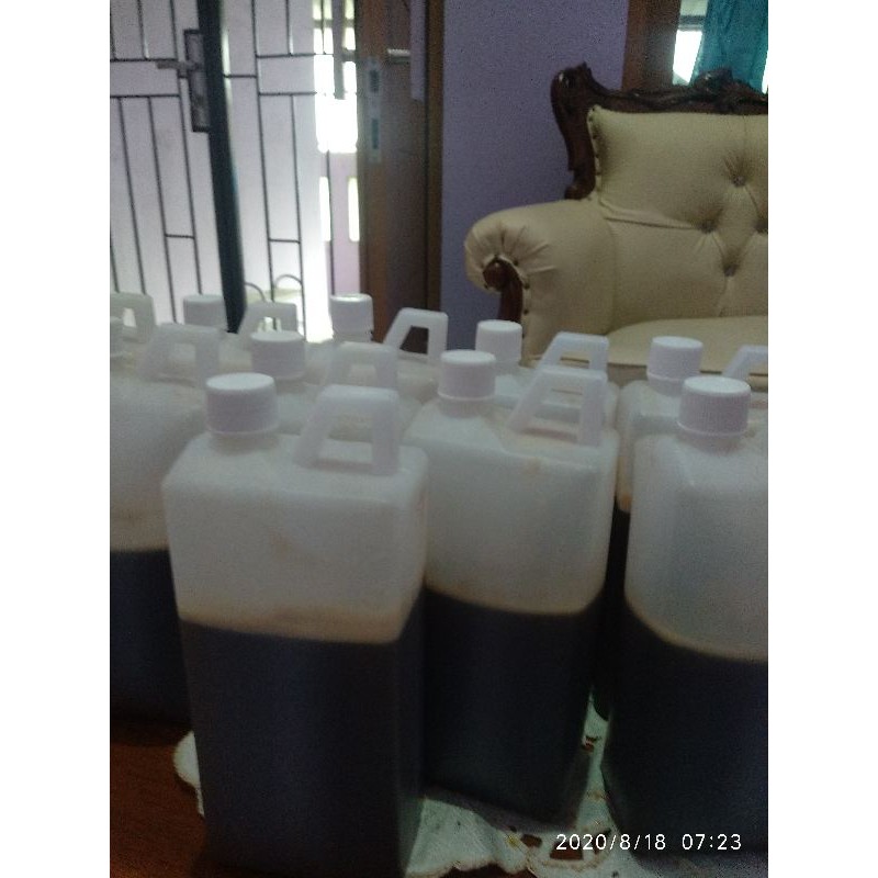 

madu hutan murni Sialang Riau