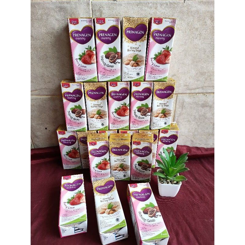 TERLARIS (UHT PRENAGEN_UHT PRENAGEN) (stock ready ya)
