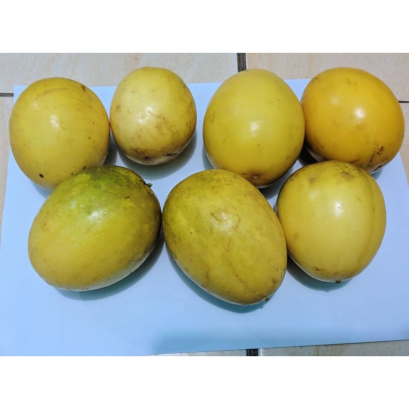 

Buah markisa berat 1 kg