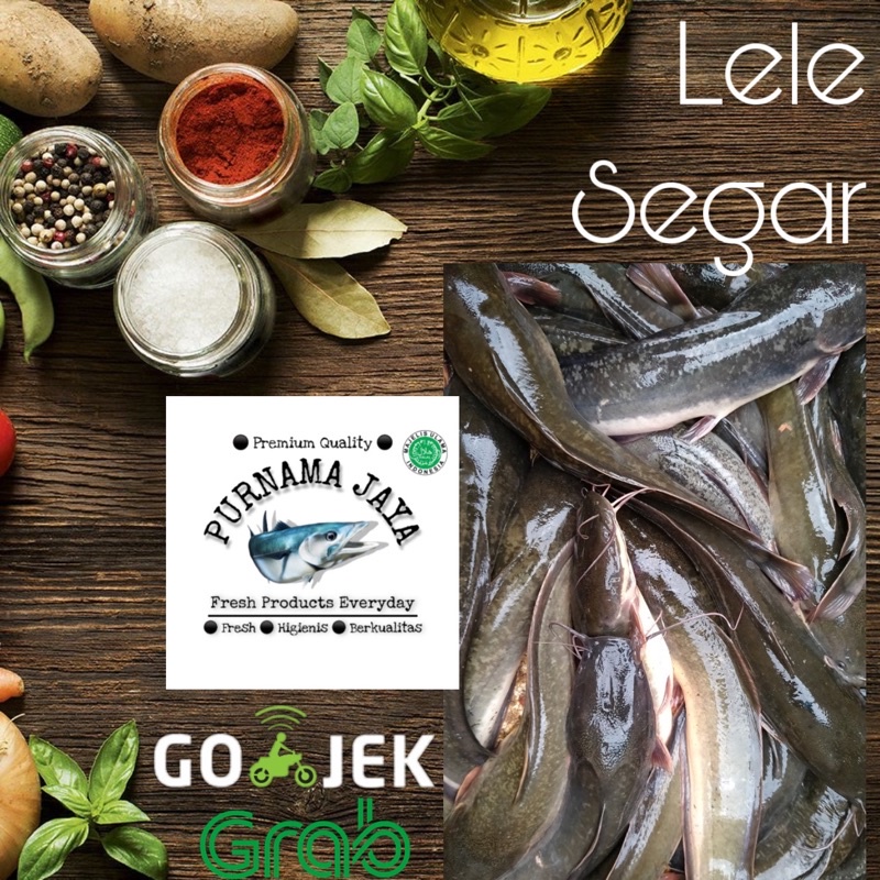 

lele hidup segar 1kg bandung