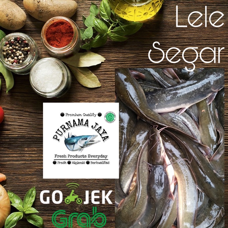 lele hidup segar 1kg bandung