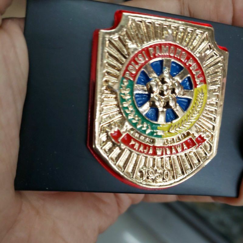KEWENANGAN SATPOL PP