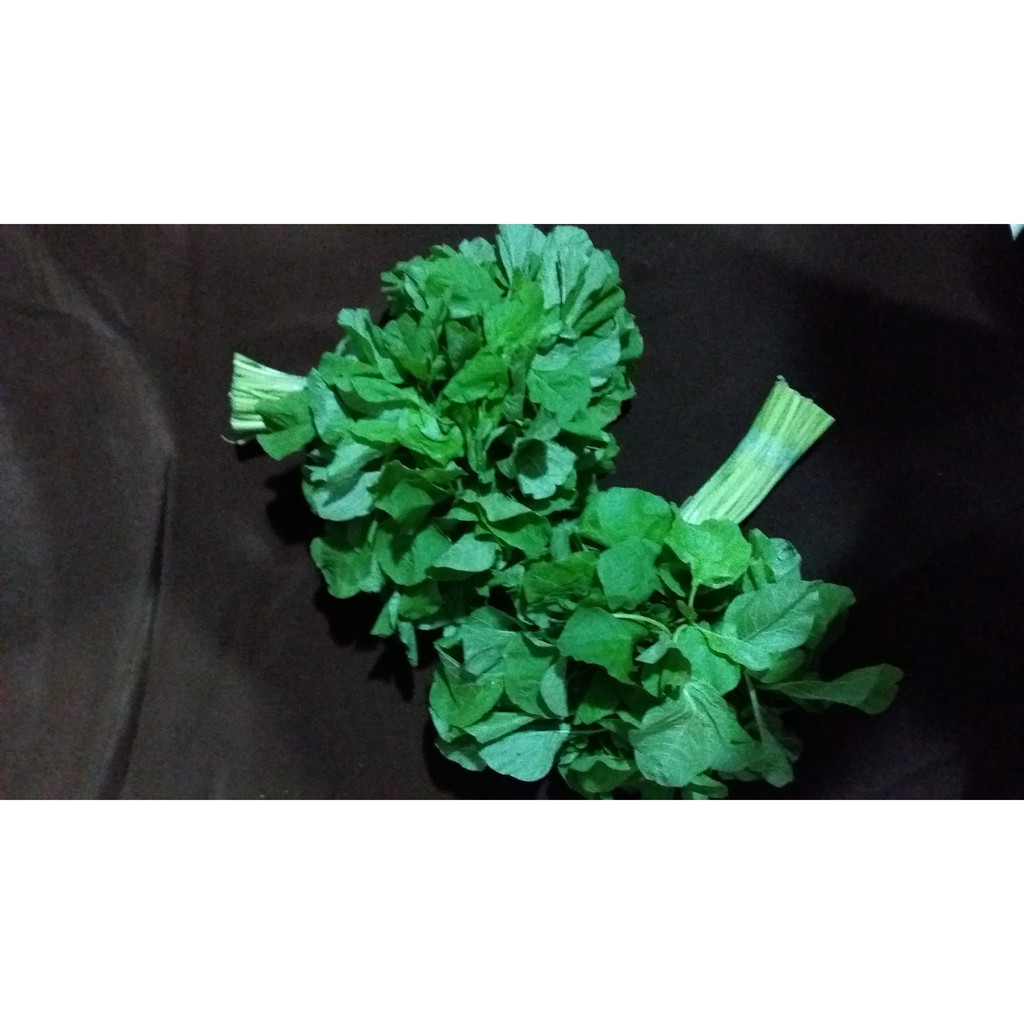 

Bayam Hijau 1000gr