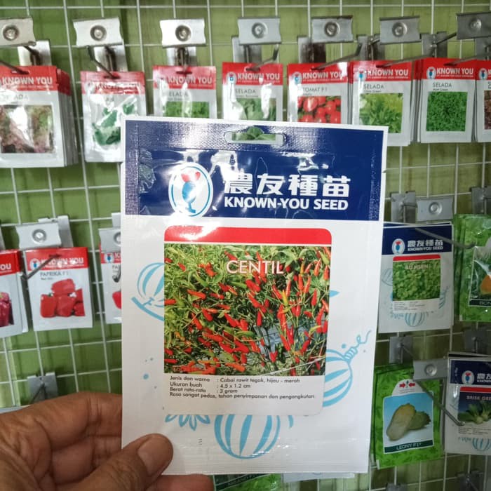 

Jual Benih Cabe Rawit CENTIL Known You Seeds Murah