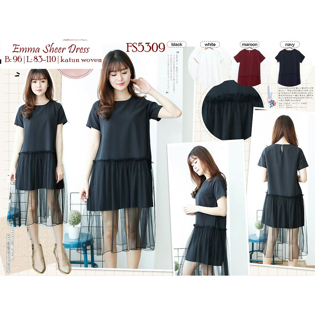 

FS5309