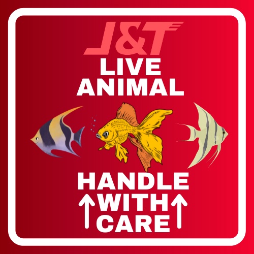 

Stiker Live Animal