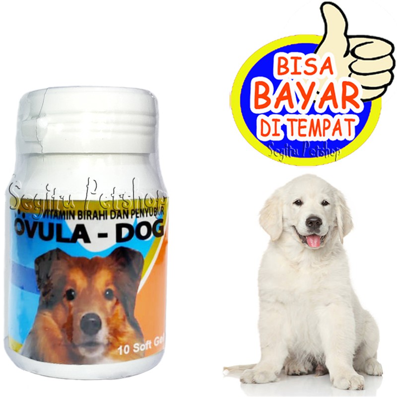 VITAMIN ANJING SUSAH KAWIN PENYUBUR BIRAHI OVULA DOG