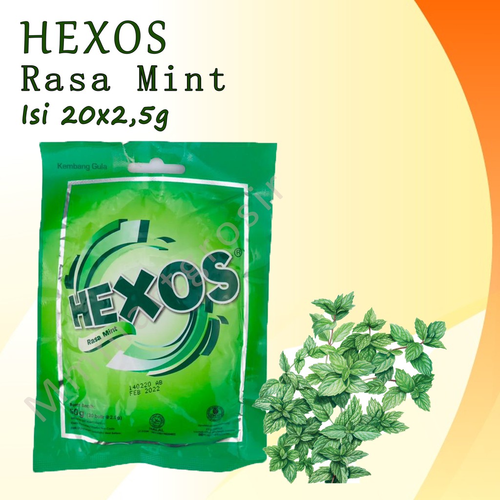 

PERMEN HEXOS RASA MINT & EXTRA MINT 20 BUTIR 50g