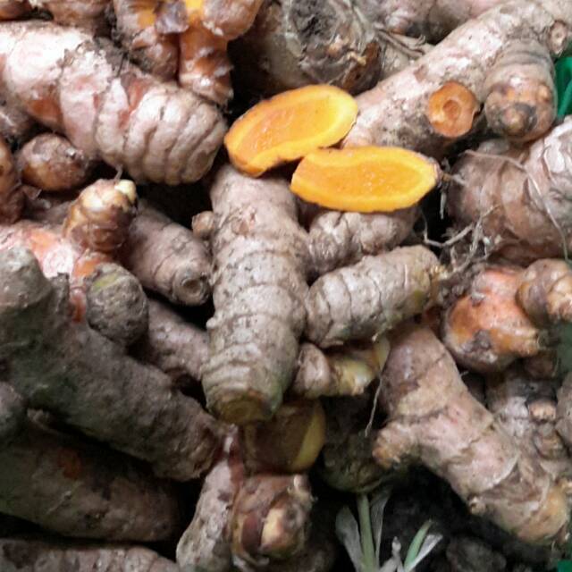 

KUNYIT BUMBU Organic /pck(~250g)