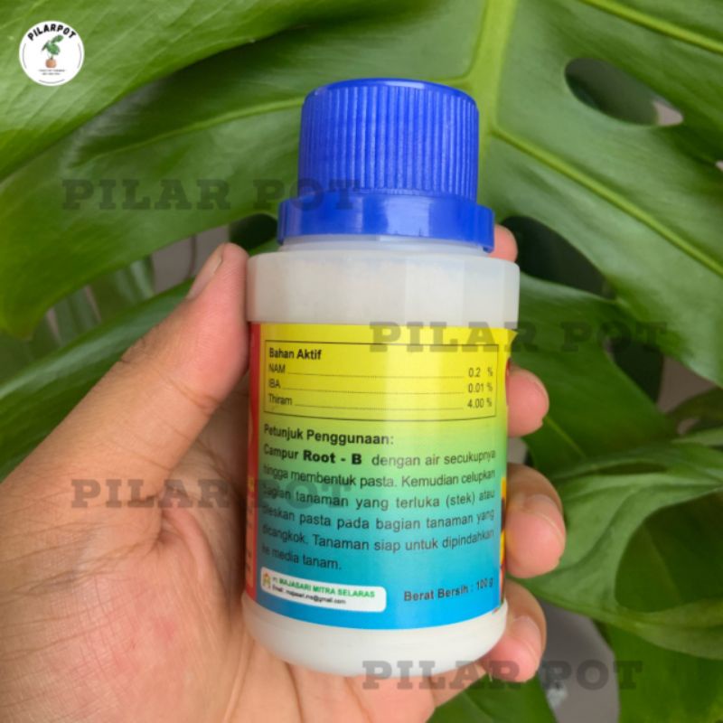 ROOT - B 100 GR pupuk pertumbuhan akar dan mencegah jamur pada tanaman