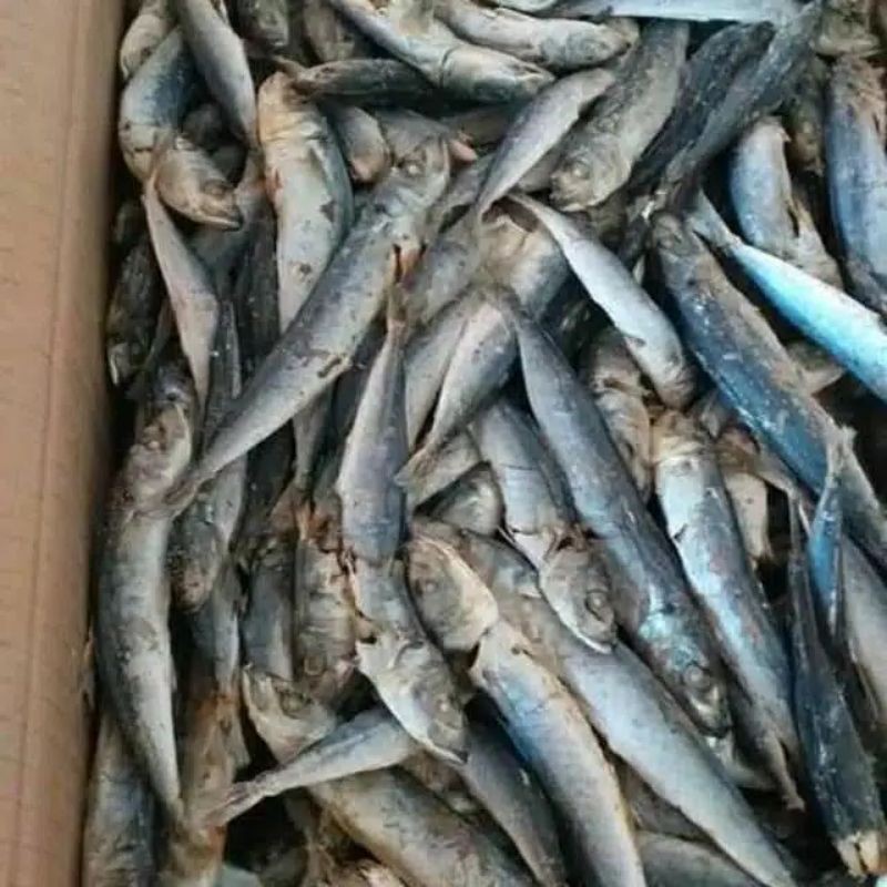 

ikan asin rebus asli lampung