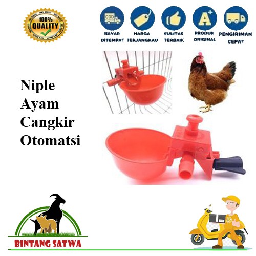 Tempat Minum cangkir otomatis unggas burung puyuh ayam