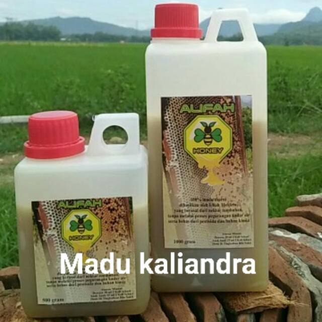 

Madu kaliandra