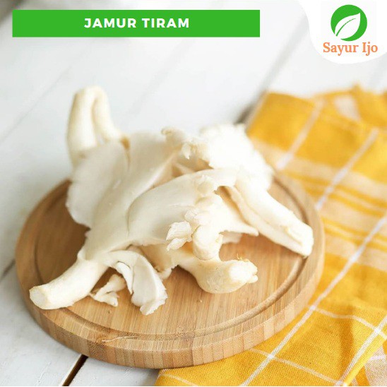 Jual Jamur Tiram Putih Gram Fresh Mushroom Pleurotus Ostreatus Sayur Hijau Segar