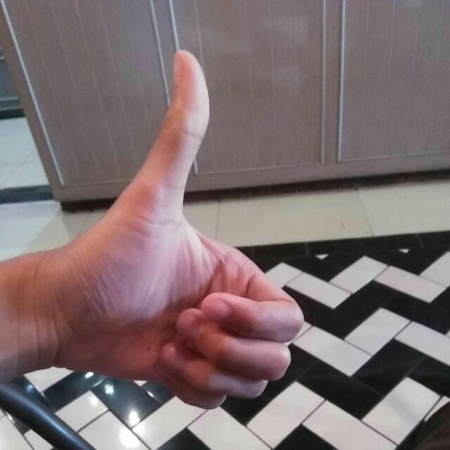 Jual Fres Cutting Pohon Kelor