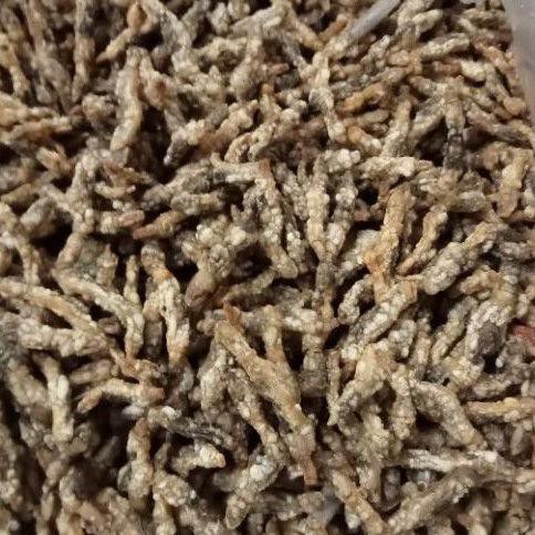 

SXI-331 Lorjuk Goreng Siap Saji Jenis Besar (100 grm) ,.,,,.!!!!!