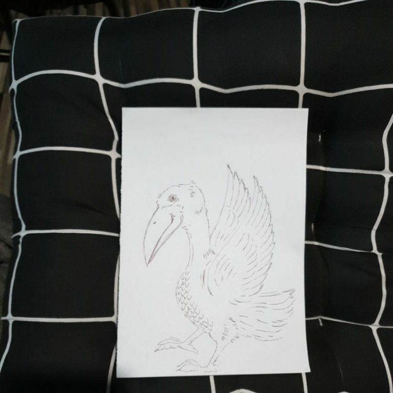 

Gambar burung bangau