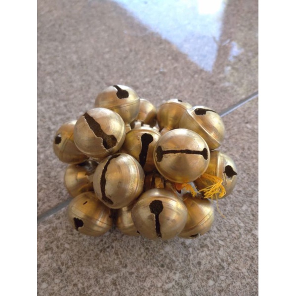 klinting hewan ternak sapi kambing