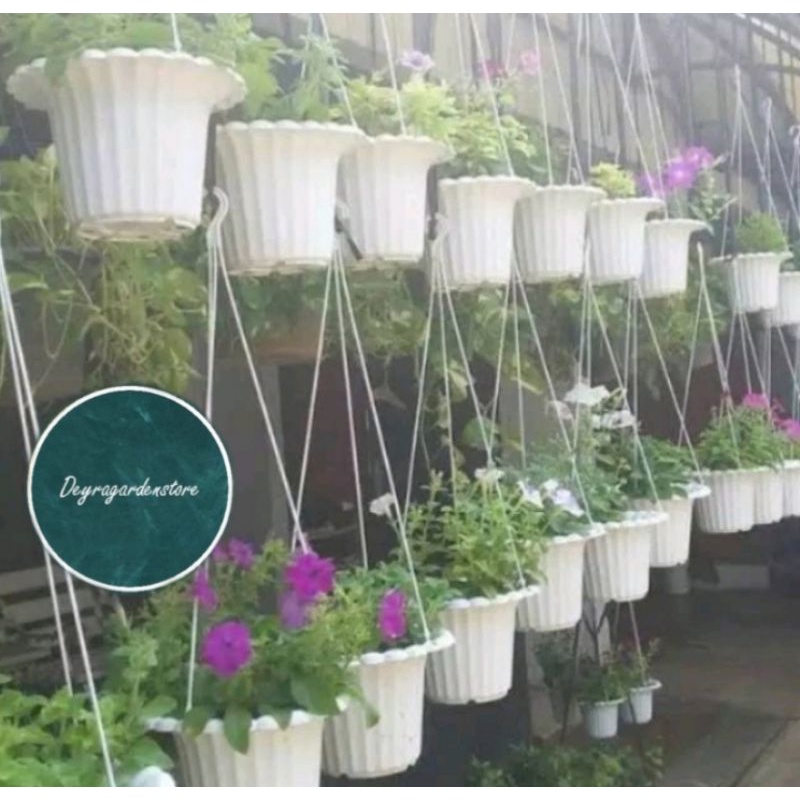 Pot Gantung Mawar Putih/ Pot Tanaman/Pot Bunga